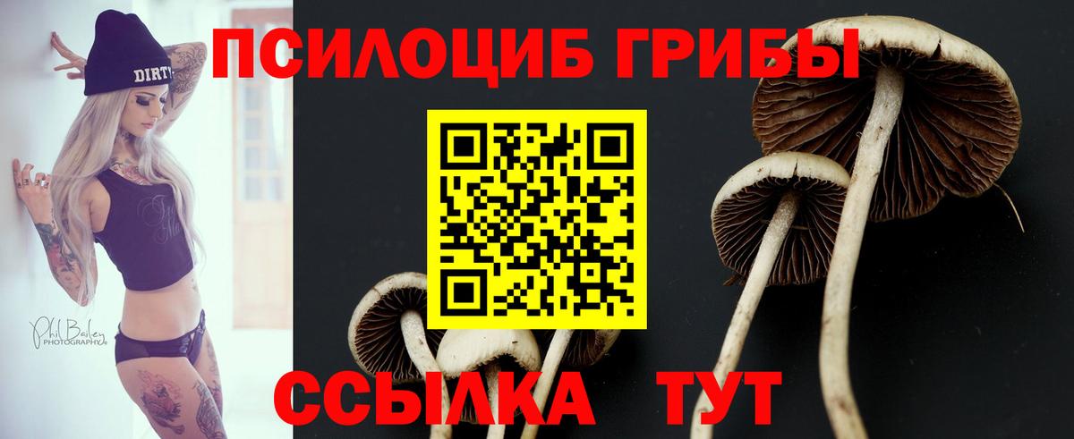 Белорецк  Галлюциногенные грибы Psilocybine cubensis  Вход с VPN 