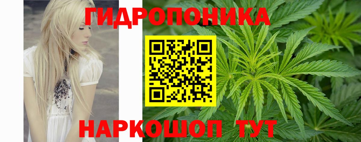 Белорецк  Бошки Шишки сатива  Вход с VPN  Конопля OG Kush  Каннабис конопля 